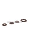 Malossi OIL-SEAL SET FKM for OVERHAUL PIAGGIO scooter 50 2T autom.