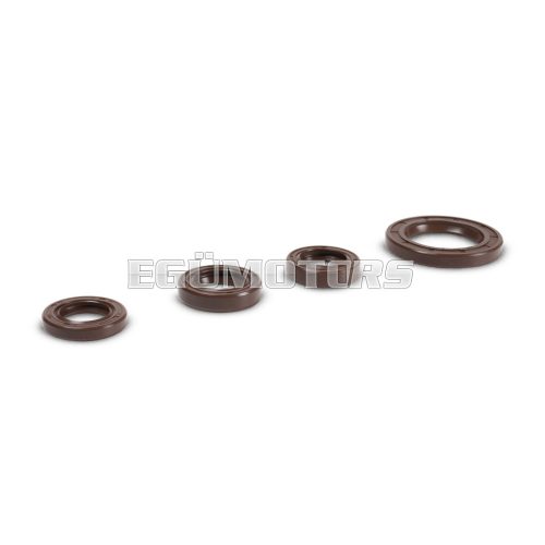 Malossi OIL-SEAL SET FKM for OVERHAUL PIAGGIO scooter 50 2T autom.