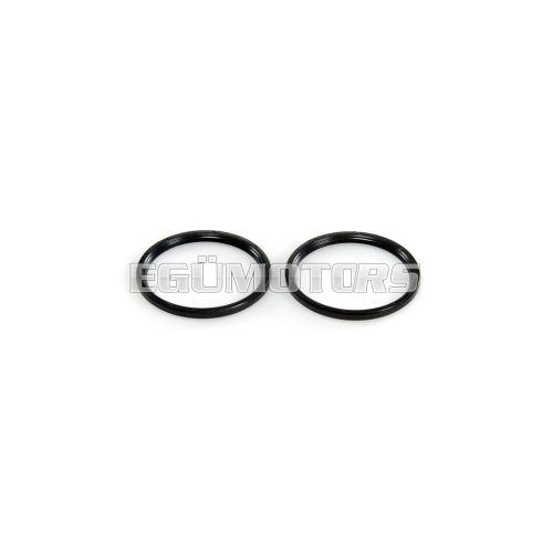 Malossi 2 OIL-SEAL 22x28x4 mm NBR