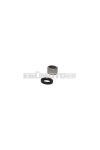 Malossi OIL-SEAL / ROLLER SLEEVE KIT