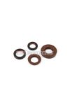 Malossi OIL-SEAL SET FKM/PTFE for OVERHAUL MINAR./YAMA.scooter/QUAD 50 2T