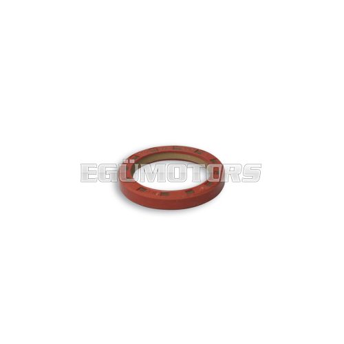Malossi OIL-SEAL 30x40x6 mm FKM /PTFE