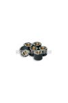 Malossi 6 HTRoll 15x12 gr.06,5