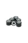 Malossi 6 HTRoll 19x17 gr.08,7