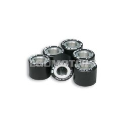 Malossi 6 HTRoll 19x17 gr.08,7