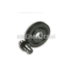 Malossi SECOND.GEARS HTQ z 15/55 (FORCED-17)