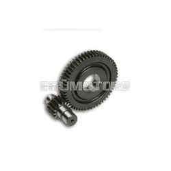 Malossi SECOND.GEARS HTQ z 15/55 (FORCED-17)