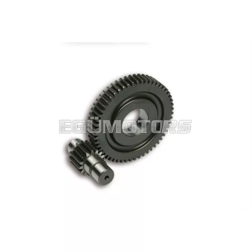 Malossi SECOND.GEARS HTQ z 15/55 (FORCED-17)