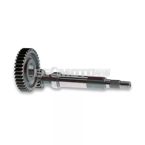 Primary gears HTQ z 15 / 43