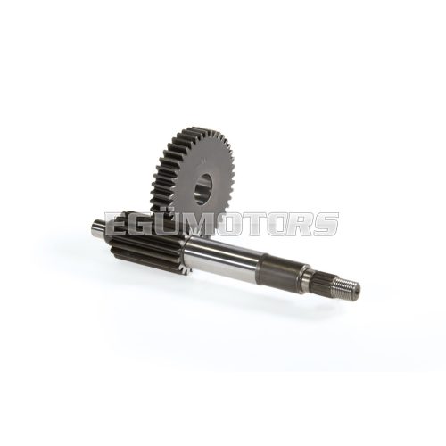 Malossi PRIMARY GEARS HTQ z 15/42