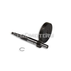 Malossi PRIMARY GEARS HTQ z 14/48
