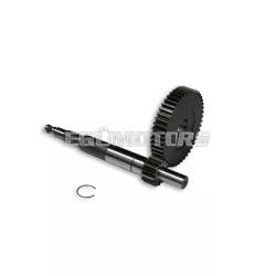 Malossi PRIMARY GEARS HTQ z 14/48