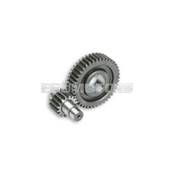 Malossi SECONDARY GEARS HTQ z 16/42