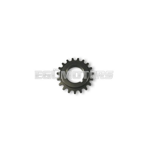Malossi GEAR z 19 (coupl. 17)