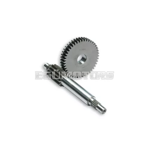 Malossi PRIMARY GEARS HTQ z 13/44