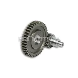 Malossi SECONDARY GEARS HTQ z 15/42