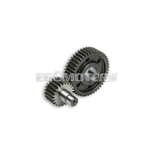 Malossi SECONDARY GEARS HTQ z 22/45