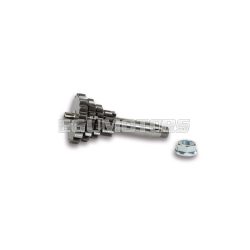 Malossi SPORT MULTIPLE SPEED GEAR (z10-14-17-20)
