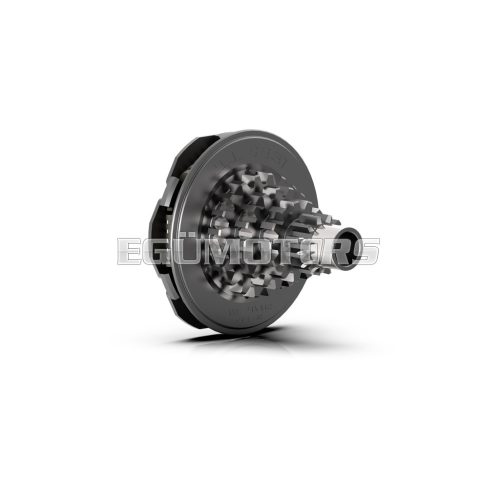 Malossi INPUT SHAFT WITH REPAIR KIT