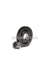 Malossi SECONDARY GEARS HTQ z 15/55