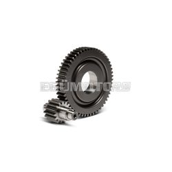 Malossi SECONDARY GEARS HTQ z 15/55