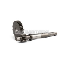 Malossi PRIMARY GEARS HTQ z 13/35