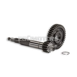 Malossi PRIMARY GEARS HTQ z 14/39 (FORCED-17)