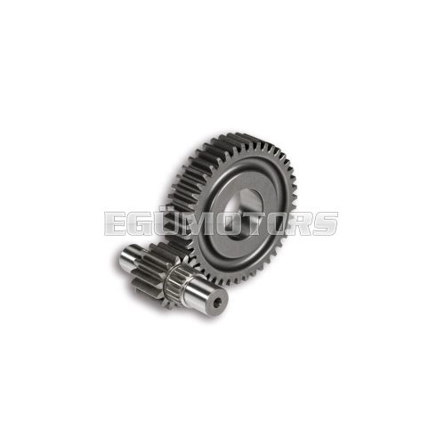 Malossi SECOND.GEARS HTQ z 14/43 (FORCED-17)