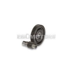 Malossi SECOND.GEARS HTQ z 13/48 (FORCED-17)