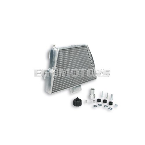 Malossi RADIATOR MHR TEAM PIAGGIO ZIP SP  2001--> - W 335xH 220 THK 51 mm