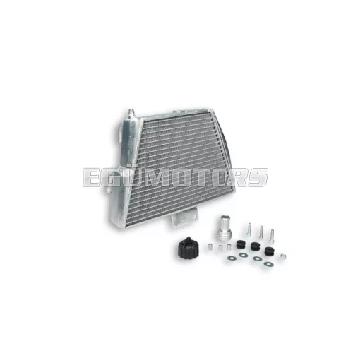 Malossi RADIATOR MHR TEAM PIAGGIO ZIP SP  2001--> - W 335xH 220 THK 51 mm