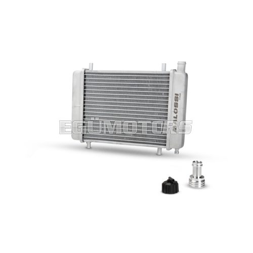 Malossi ONLY RADIATOR MHR PIAGGIO ZIP SP - W 304xH 198 THK 50 mm