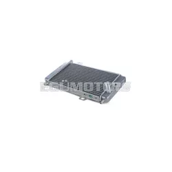   Naked radiator - length 31,8 x height 16,8 x thickness 3,6 cm