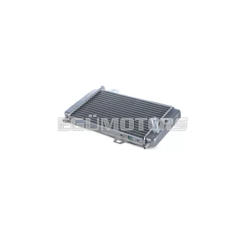 Naked radiator - length 31,8 x height 16,8 x thickness 3,6 cm