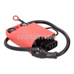   CDI unit with ignition coil for Gilera, Piaggio w/o catalytic converter