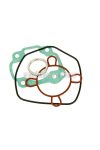cylinder gasket set - 50cc for Minarelli horiz. LC = IP32893