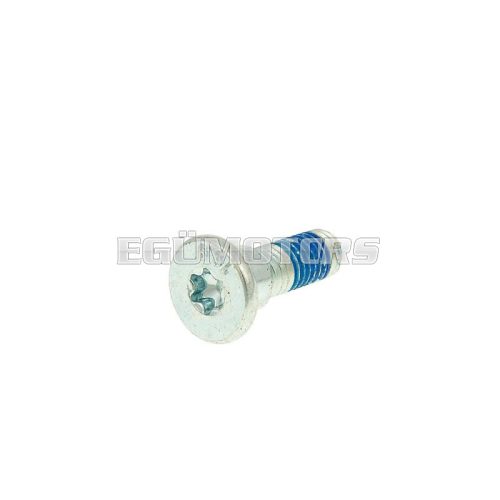 Domború fejű csavar M8, féktárcsához, 10 mm furatátmérőhöz