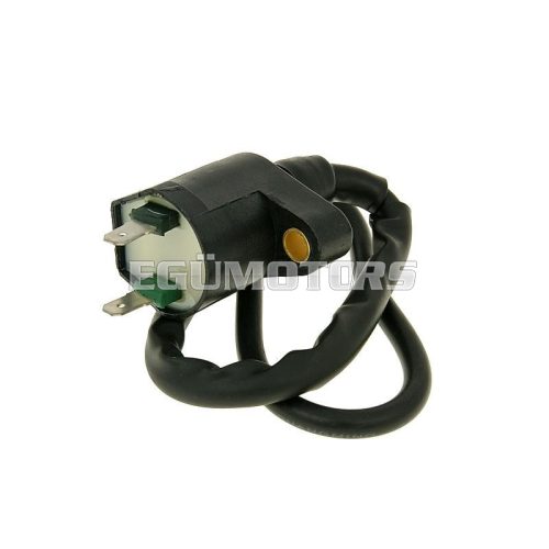 ignition coil for Peugeot vertical = IP32532