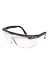 protective goggle / spectacle clear