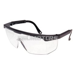 protective goggle / spectacle clear