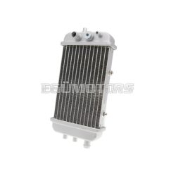   radiator for Derbi Senda 50, Aprilia RX 50, SX 50, Gilera RCR 50, SMT 50