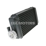 OEM Standard hűtő / radiátor OEM, Generic Trigger