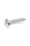 fairing screw stainless steel 2.9x13mm slotted pan head