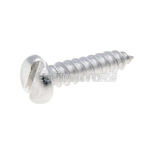 fairing screw stainless steel 2.9x13mm slotted pan head