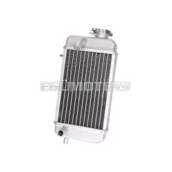 radiator for Rieju RR, Spike, SMX, MRX 50