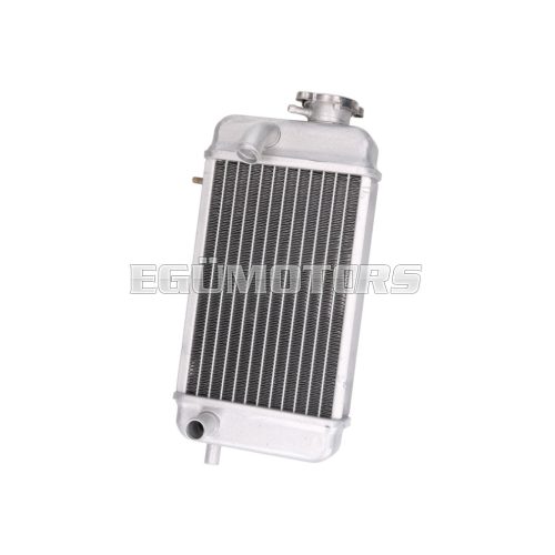 radiator for Rieju RR, Spike, SMX, MRX 50