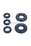 oil seal set TCK blue for Simson S50, SR4-1, SR4-2, SR4-3, SR4-4, KR51/1 Schwalbe, Star, Sperber, Spatz, Habicht