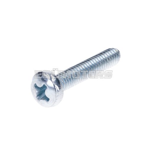 Phillips screw M4x20mm