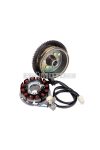 alternator stator and rotor for Minarelli AM6 Moric / Power up w/ E-start