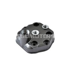   OEM Standard hengerfej 50 cc, kiváló minőség, Derbi EBE, EBS